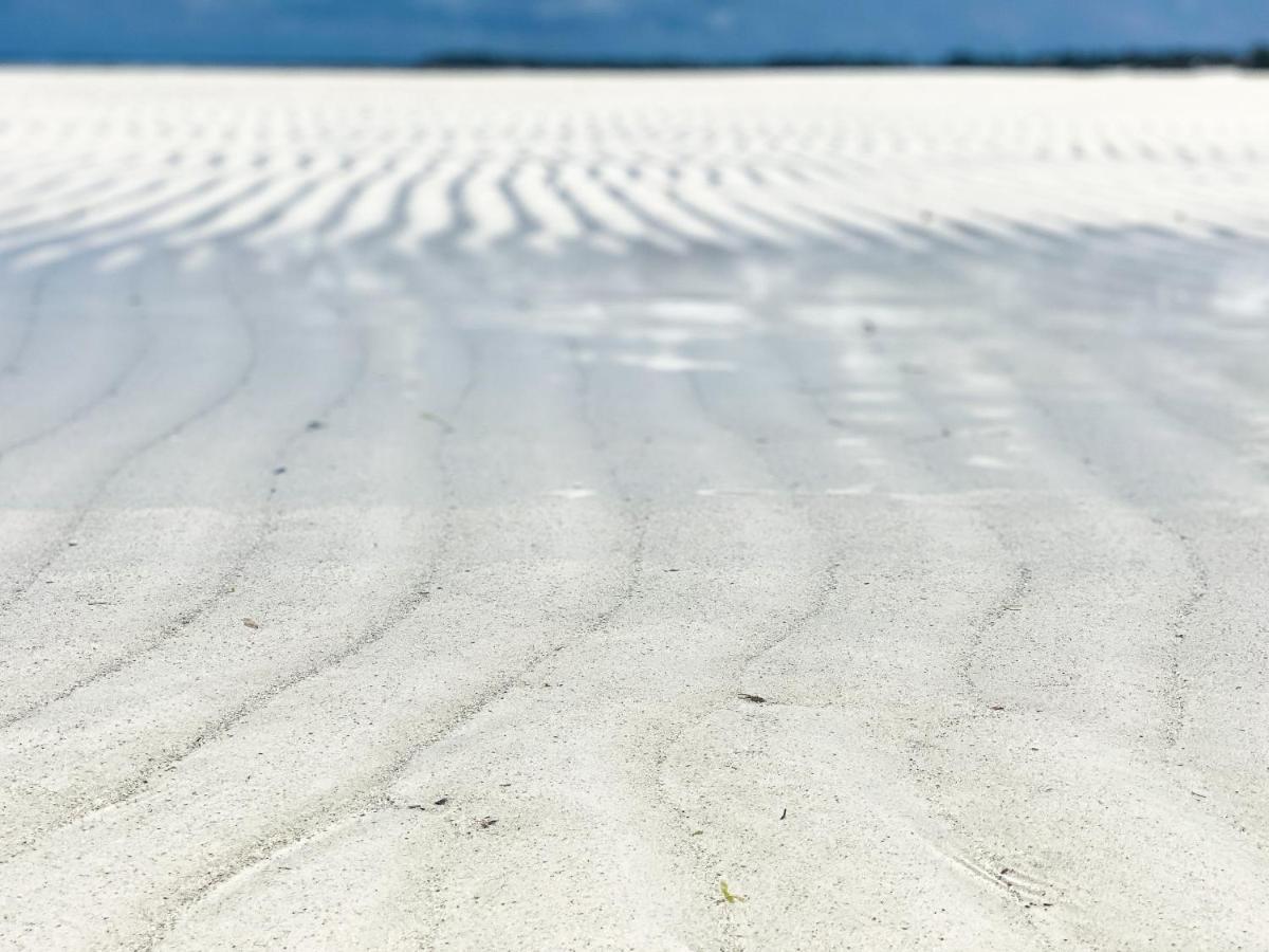 Beachfront Turtle House Zanzibarhouses Кивенгва Экстерьер фото